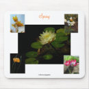 Suche nach krokus blume mousepads Frühling