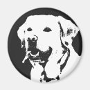 Suche nach goldenes labrador magnete Retriefe