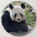 Suche nach chinesische tiere buttons Niedlich