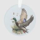 Suche nach wasservogel ornamente Jäger