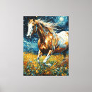 Suche nach schöne pferde leinwandbilder Hengst