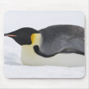 Suche nach kaiser mousepads Natur