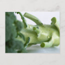 Suche nach broccoli postkarten Grün