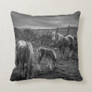 Suche nach pony kissen Pferde