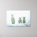 Suche nach eisbären leinwandbilder Eisberg