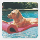 Suche nach retriever aufkleber Spaß