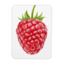 Suche nach himbeeren magnete Für alle