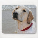 Suche nach labrador welpen mousepads Jede person