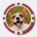 Suche nach hund poker chips Foto
