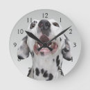 Suche nach dalmatian dog Animals