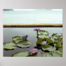 Suche nach seerose poster Teich