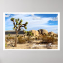 Suche nach joshua baum kunst Landschaft