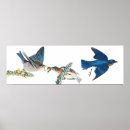Suche nach wild bird poster Tiere