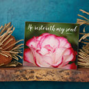 Suche nach rosa rose fotoplatten Christlich