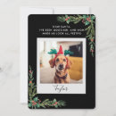 Suche nach lustiges hundefoto karten Jede person