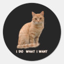 Suche nach tabby cat aufkleber Orangefarbene tafel