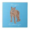 Suche nach puma fliesen Berglöwe