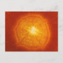 Suche nach karotten postkarten Gesund