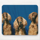 Suche nach neugier mousepads Horizontal