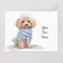 Suche nach apricot postkarten Poodle