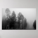 Suche nach schwarzer berg poster Wald
