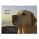 Suche nach labradore kalender Retriever