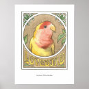 Suche nach lovebird poster Papagei