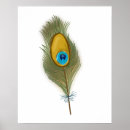 Suche nach vogelfedern poster Pfau