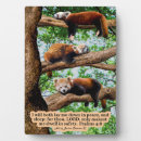 Suche nach baum fotoplatten Christlich