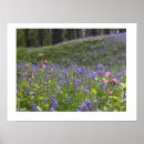 Suche nach wooden poster Fotografie