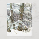 Suche nach blizzard postkarten Natur