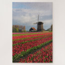 Suche nach rote tulpen puzzle Feder