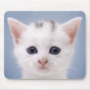 Suche nach reinheit mousepads Studioschuß