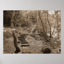 Suche nach forrest poster Trees