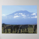 Suche nach herde poster Kenia
