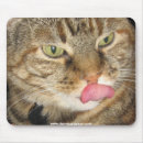 Suche nach lustige miezekatze mousepads Spaß