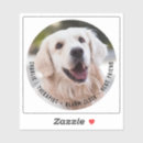 Suche nach foto bastel zubehör Für sie