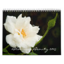 Suche nach rote rosen kalender Lila