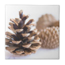 Suche nach fichte untersetzer Natur