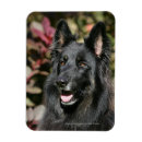 Suche nach schaferhund magnete Headshot