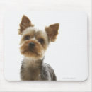 Suche nach interesse mousepads Vertikal