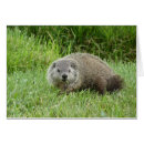 Suche nach klemme postkarten Grundschwein