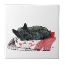 Suche nach kleiner hund fliesen Hunde