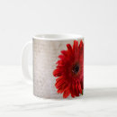 Suche nach roter gerbera tassen Blütenblätter