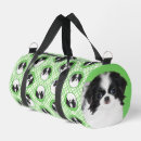 Suche nach japanisches kinn Japanisch spaniel