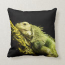 Suche nach leguan kissen Reptil