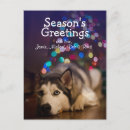 Suche nach sibirischer husky postkarten Weihnachtsbaum
