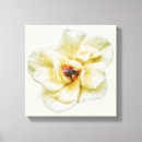 Suche nach gelbe rosen leinwandbilder Natur