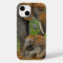 Suche nach afrikanischer elefant iphone hüllen Safari