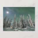 Suche nach aurora borealis postkarten Nacht